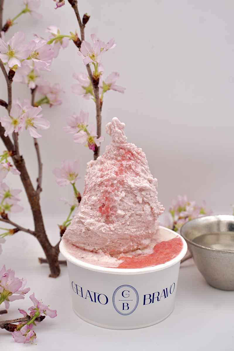  桜ジェラート　／GELATO BRAVO 