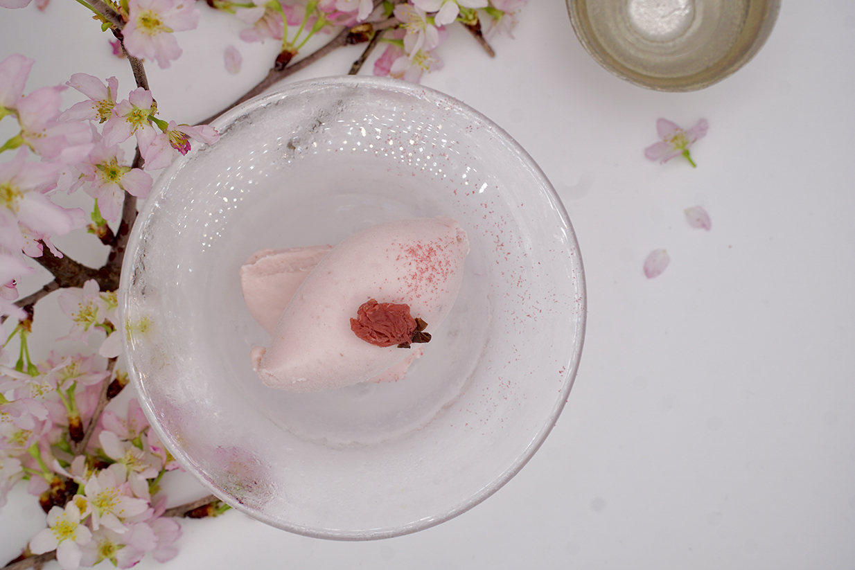  桜ジェラート　／GELATO BRAVO 