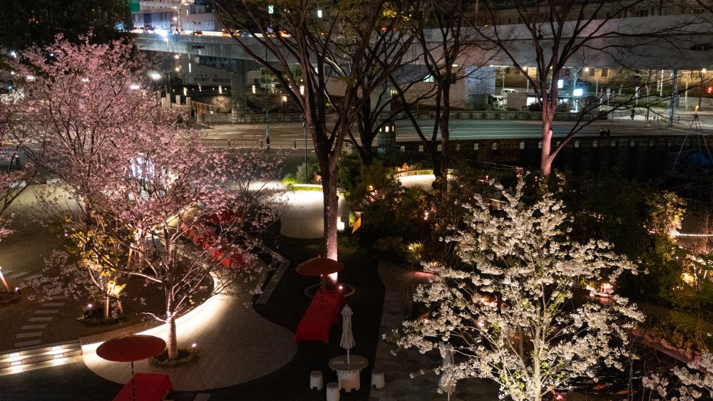  TOKYO TORCH 桜まつり 2024 