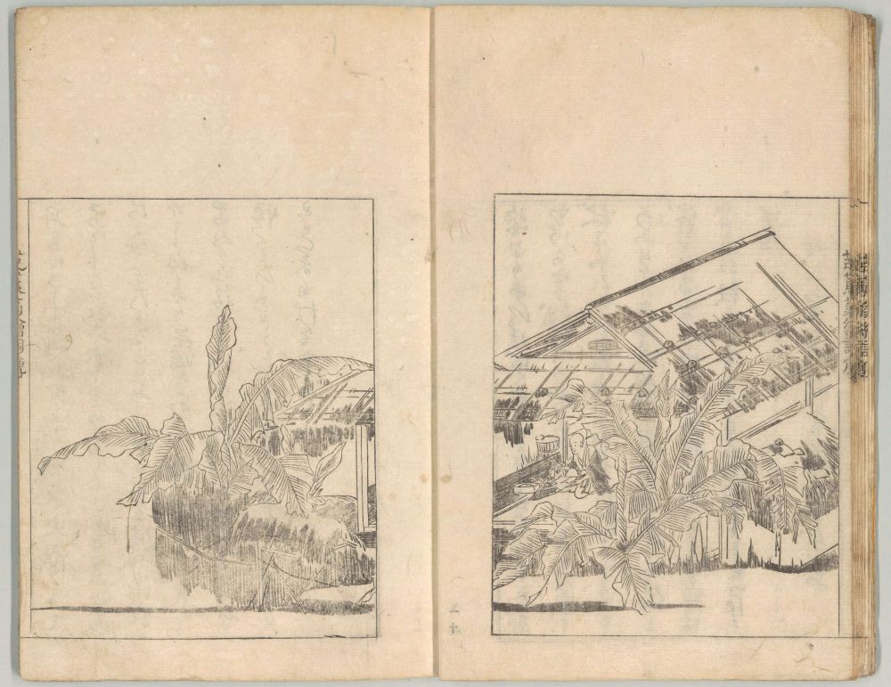  令和8年夏の特別展「旅人は東を目指す―古典文学が描いた魅惑の東日本―」 