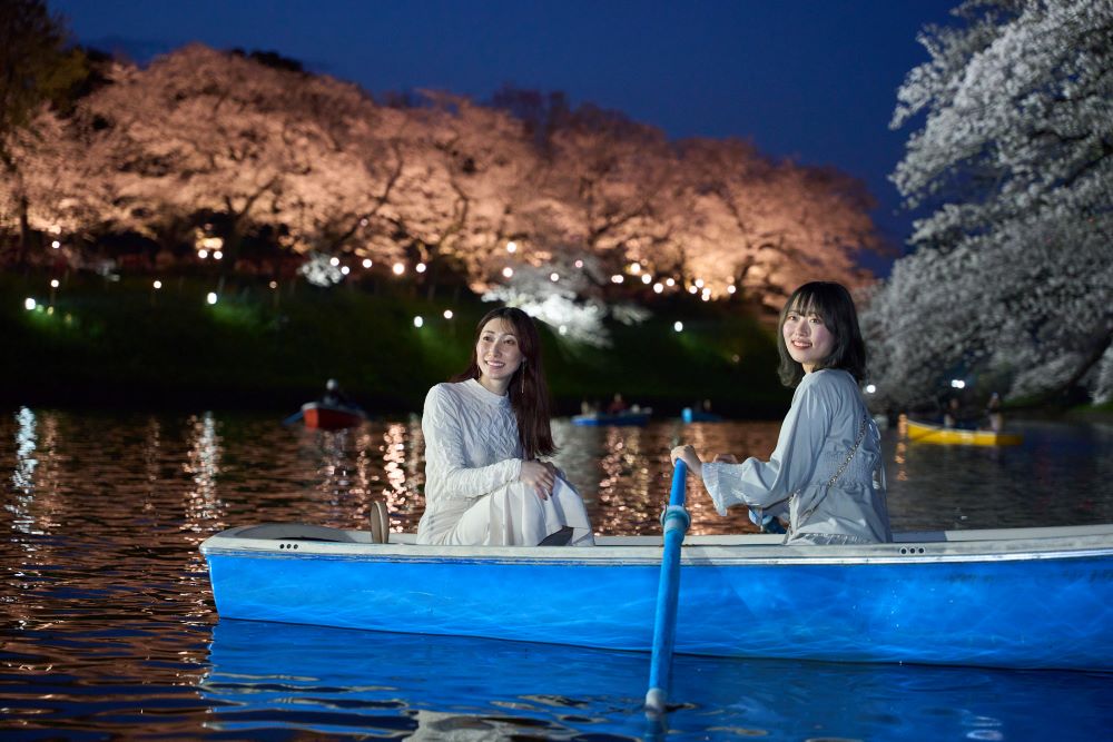 提灯が連なる夜桜並木🌸〜💖～💓～💗〜🏮 石ヶ瀬緑道で📸 2枚目