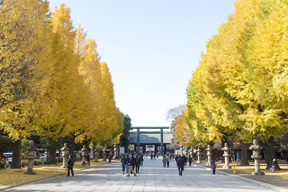 秋の散歩道 まるわかり紅葉特集|【公式】東京都千代田区の観光情報公式