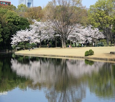  北の丸公園 