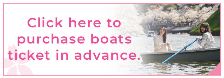 Click here to purchase boats ticket in advance.