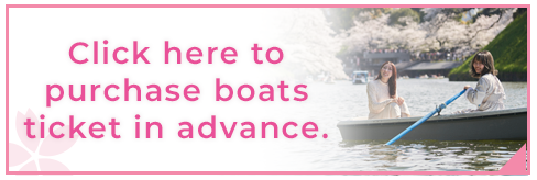 Click here to purchase boats ticket in advance.