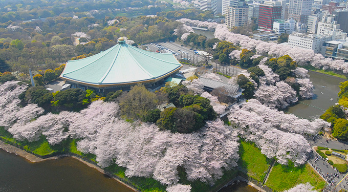 Guide to the Chiyoda City Sakura Festival Grounds