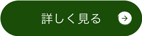 もっと見る